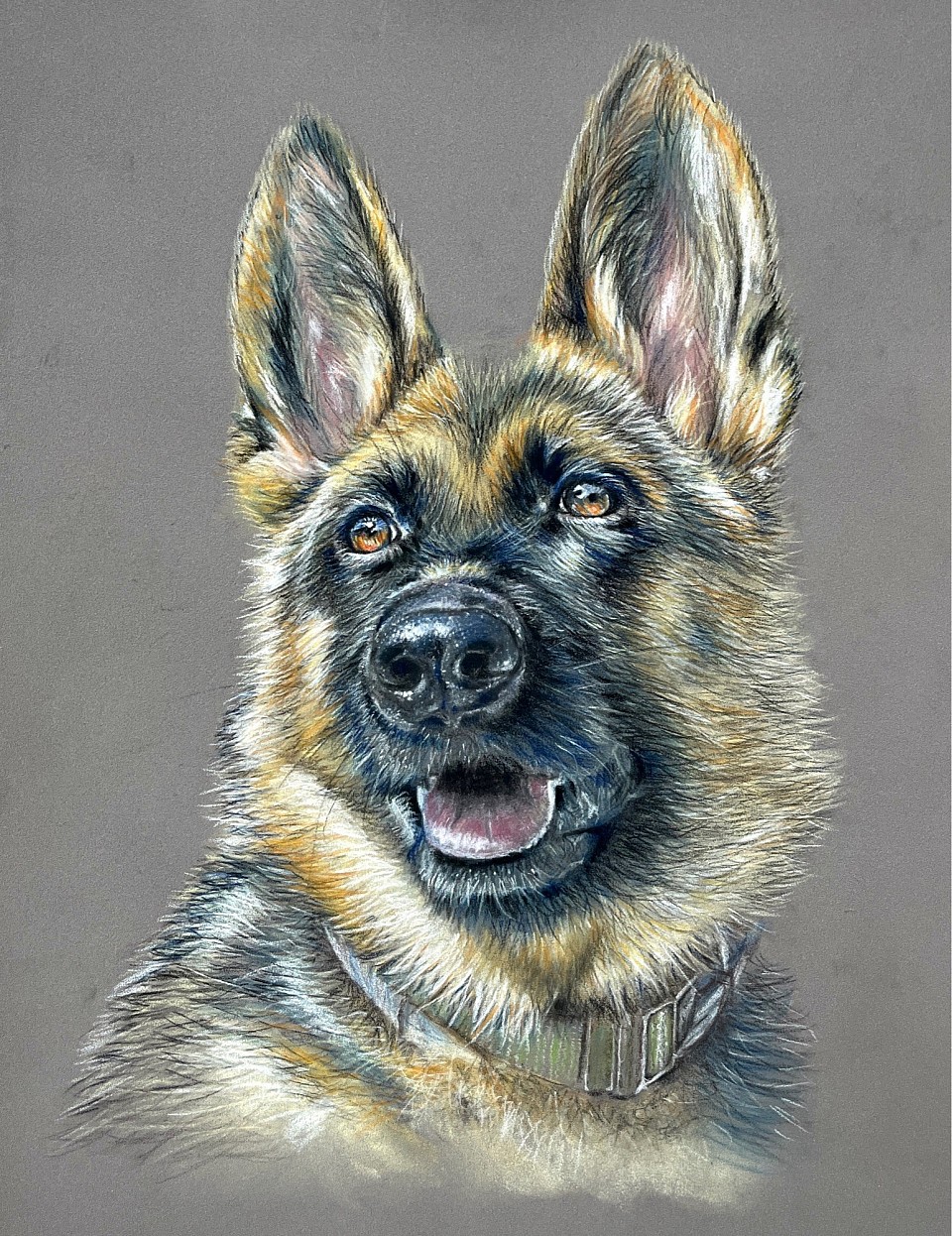 German shepherd pet dog portrait commission by Julie Waldron