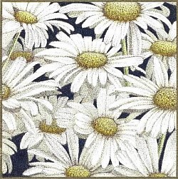 Daisies - pointillism style by artist Julie Waldron