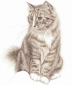 Cat - pointillism style by artist Julie Waldron