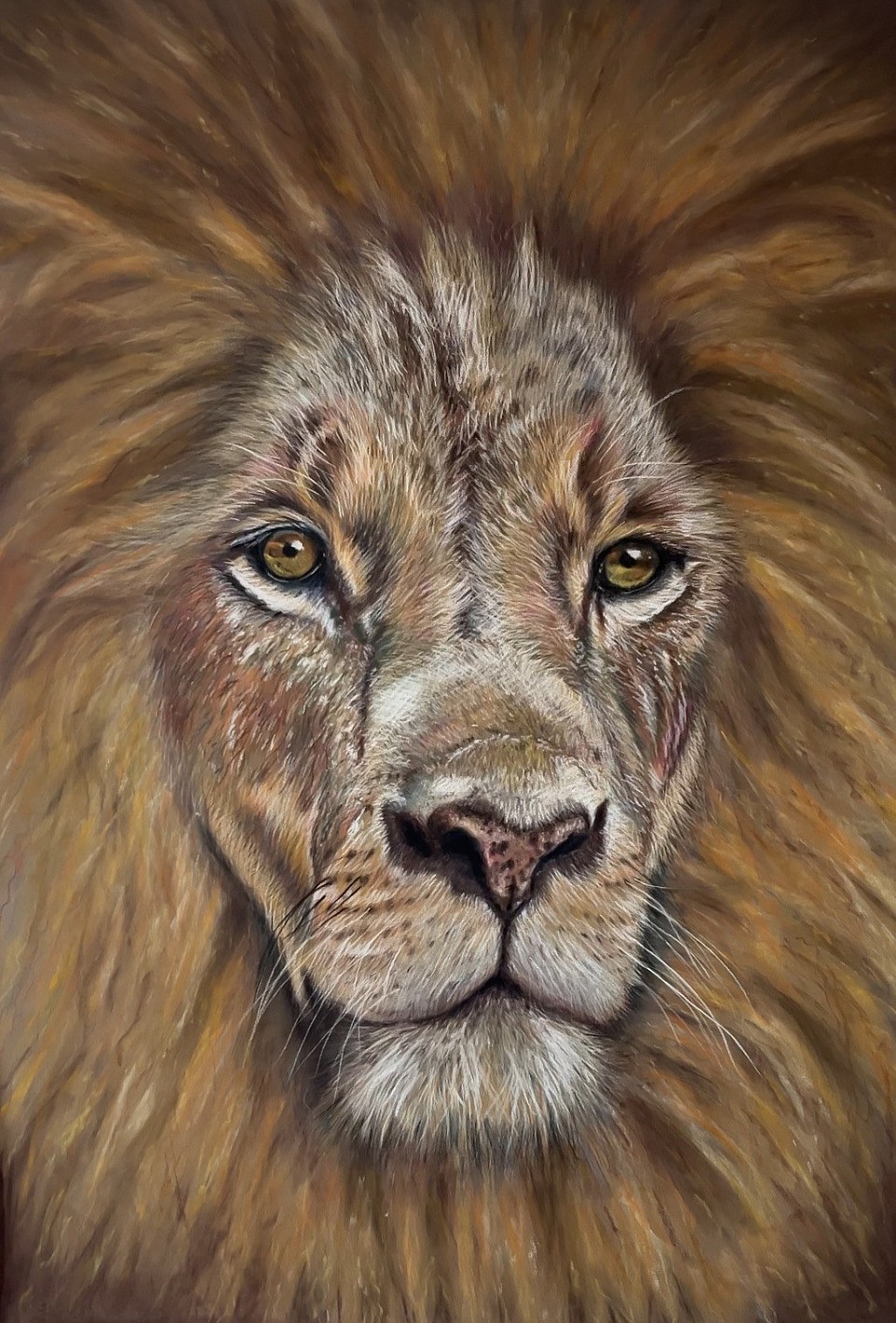 Drawing of a lion in pastels by artist Julie Waldron