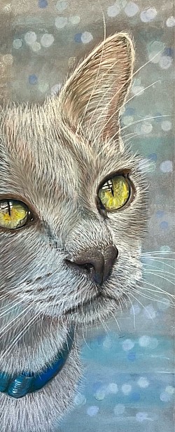 Siamese cat in pastels by Julie Waldron