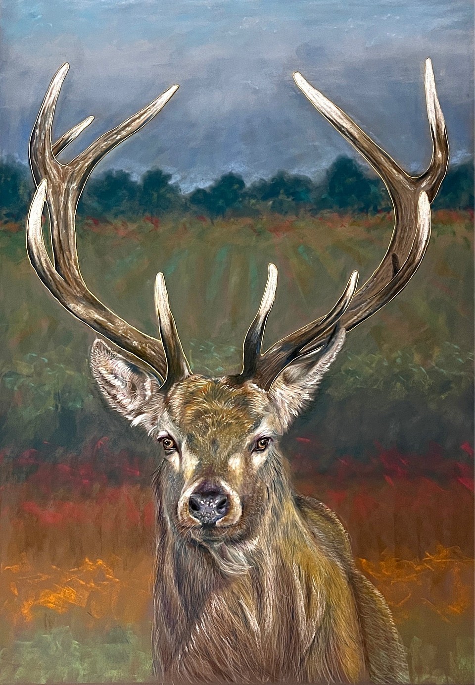 Stag drawing in pastels by Julie Waldron